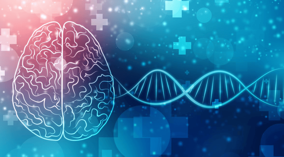 brain and dna graphic