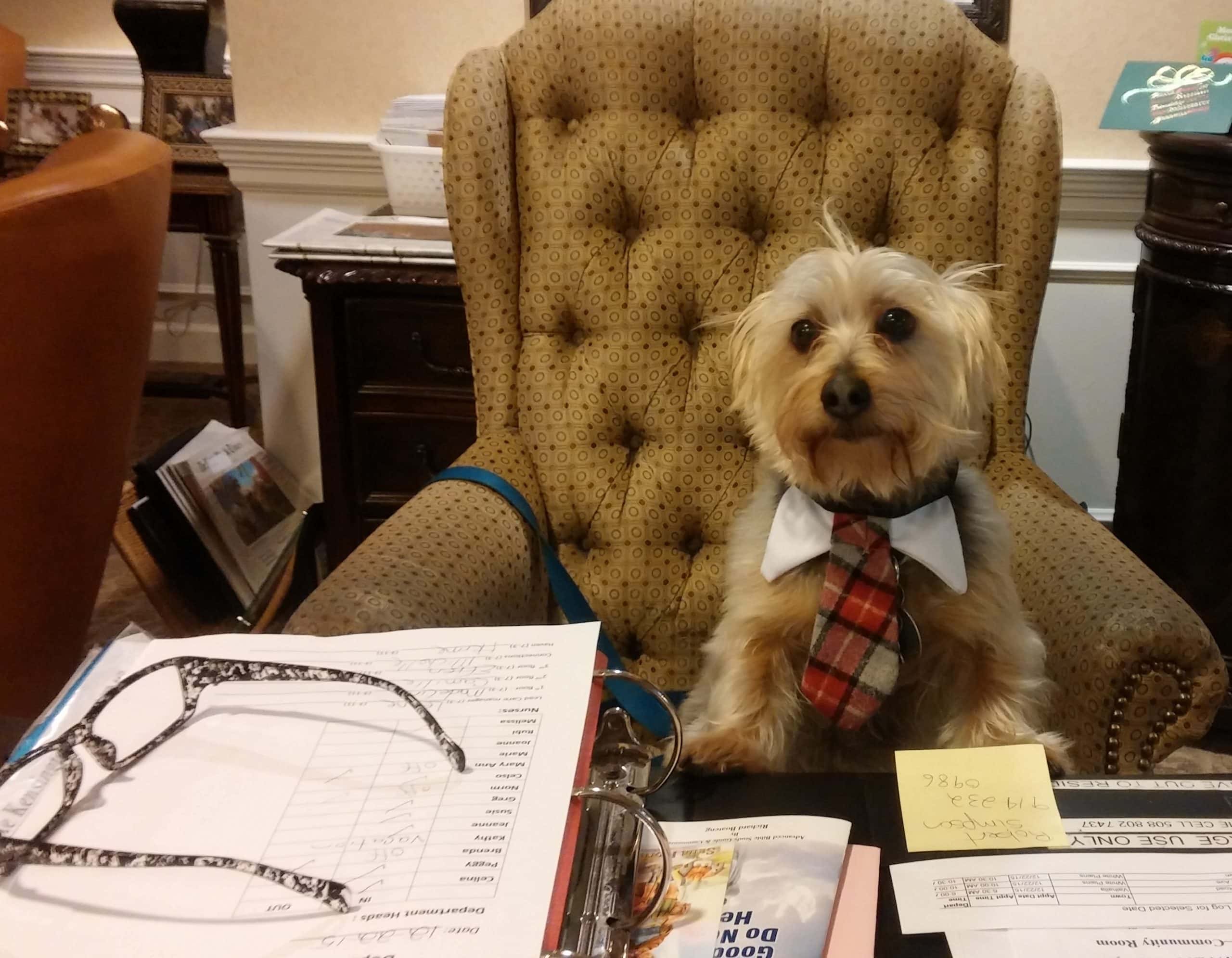 Bob at desk