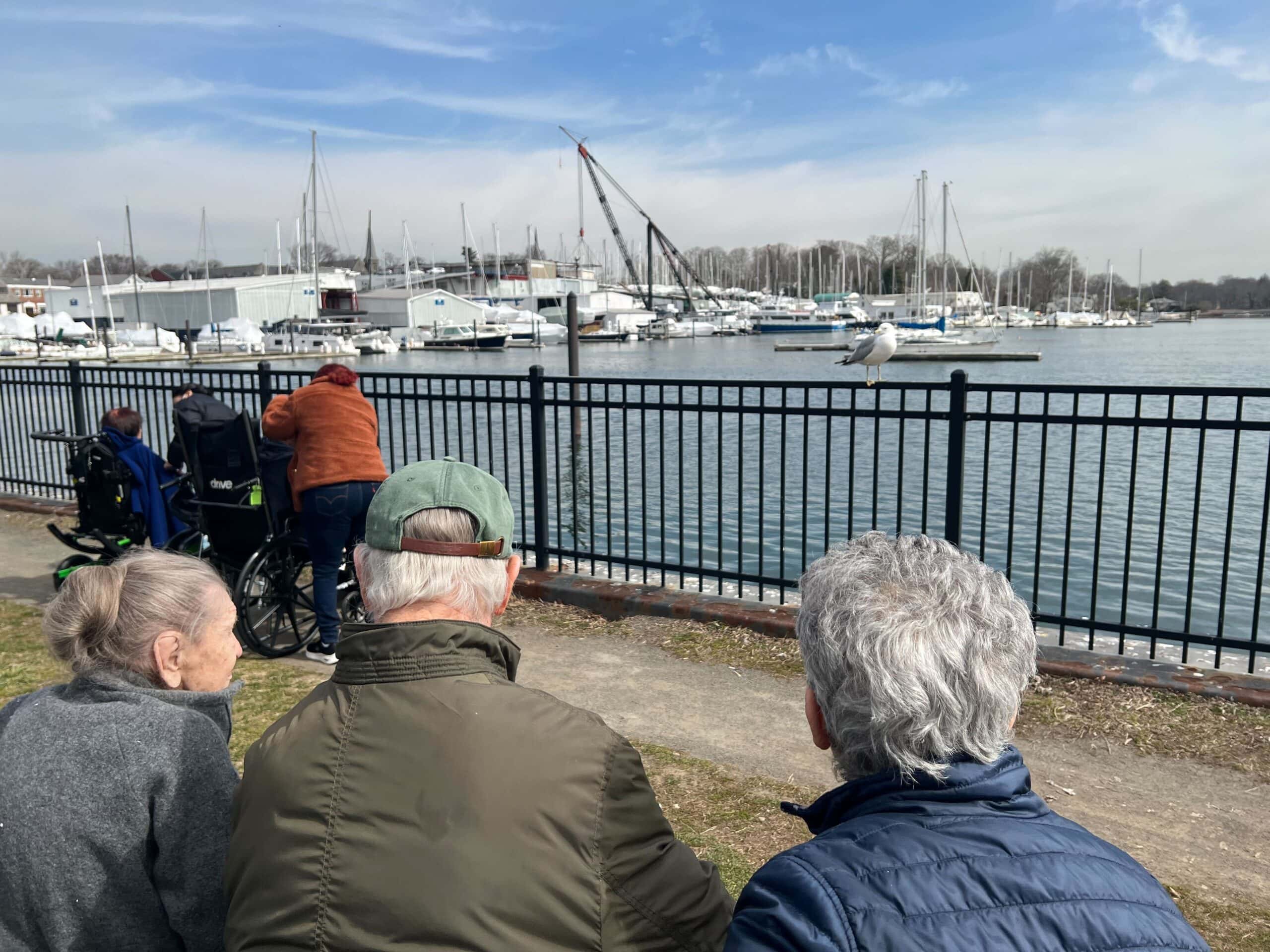 residents looking out at boats in marina