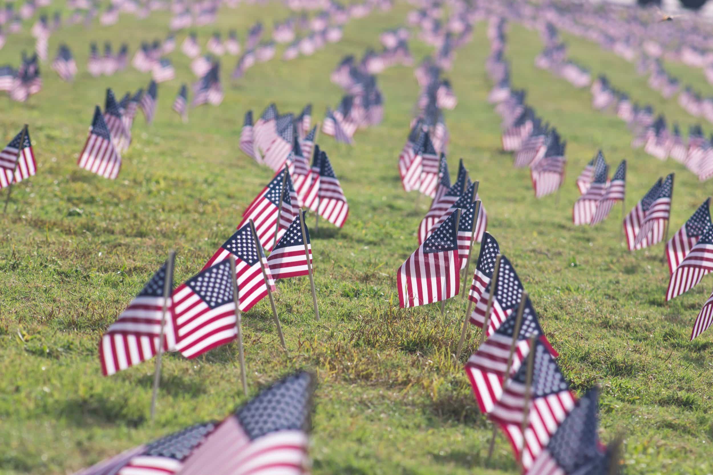 american flags on a field