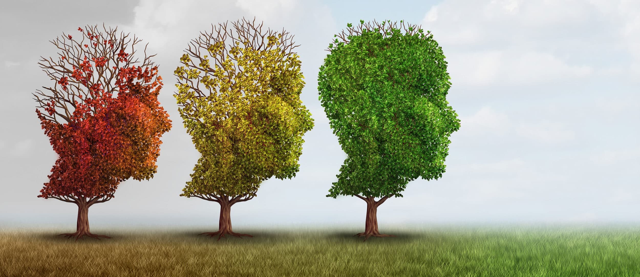 Dementia symbolism for alzheimers disease
