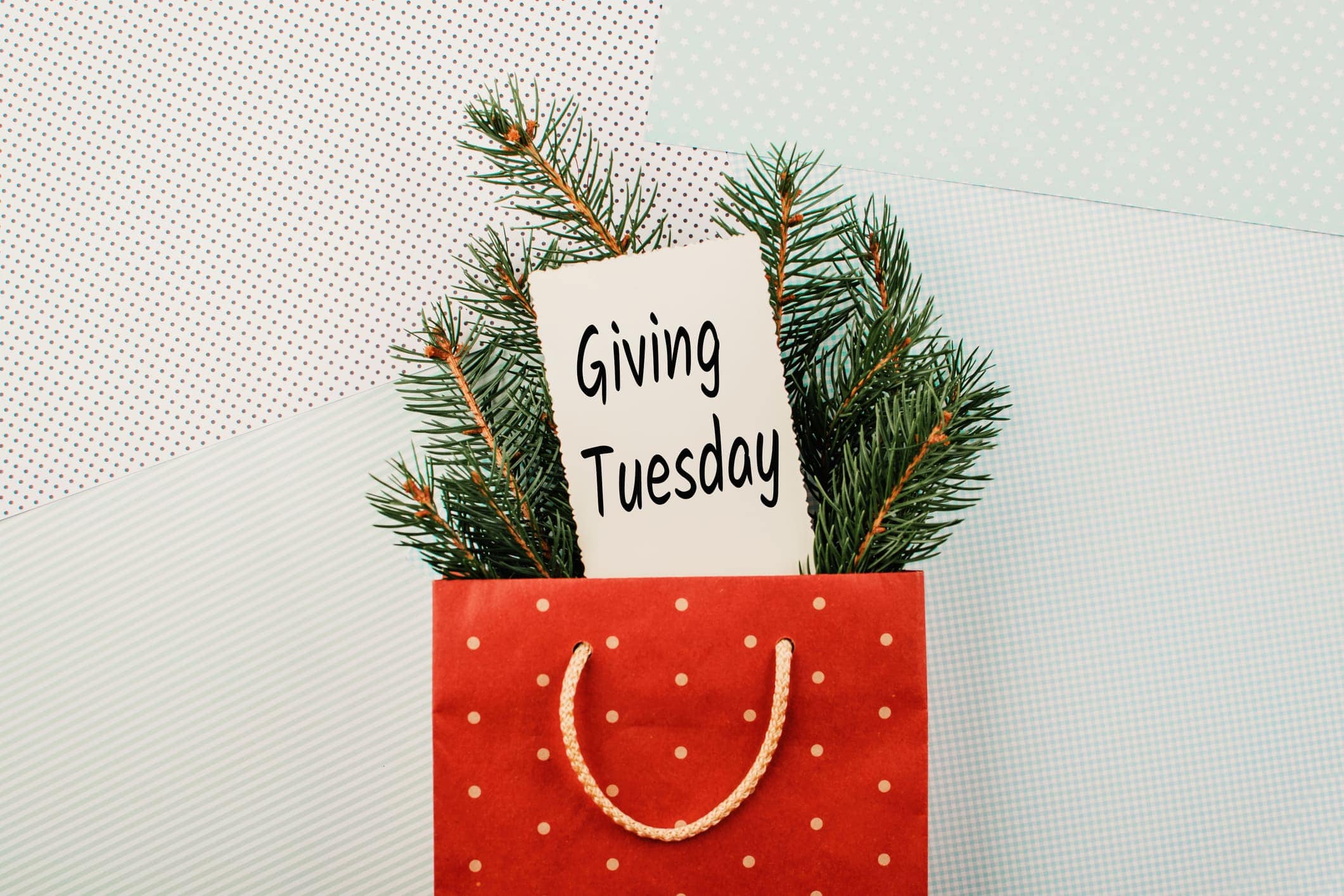 giving tuesday sign in gift bag