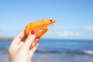 Shrimp, a Solid Choice