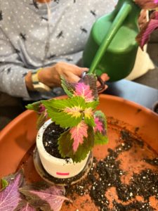 OnGrowing Mindfulness at The Kensington White Plains: Introducing Our Horticultural Therapy Program