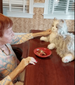 Robocat with resident at The Kensington White Plains