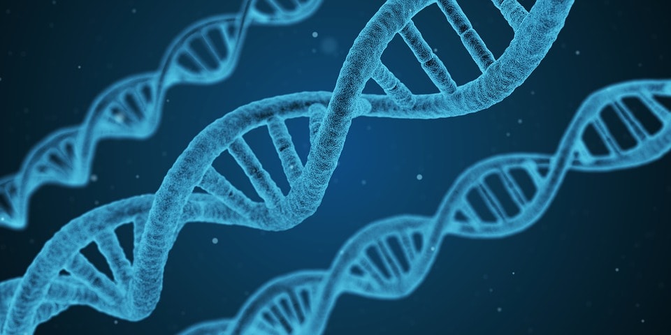 String DNA