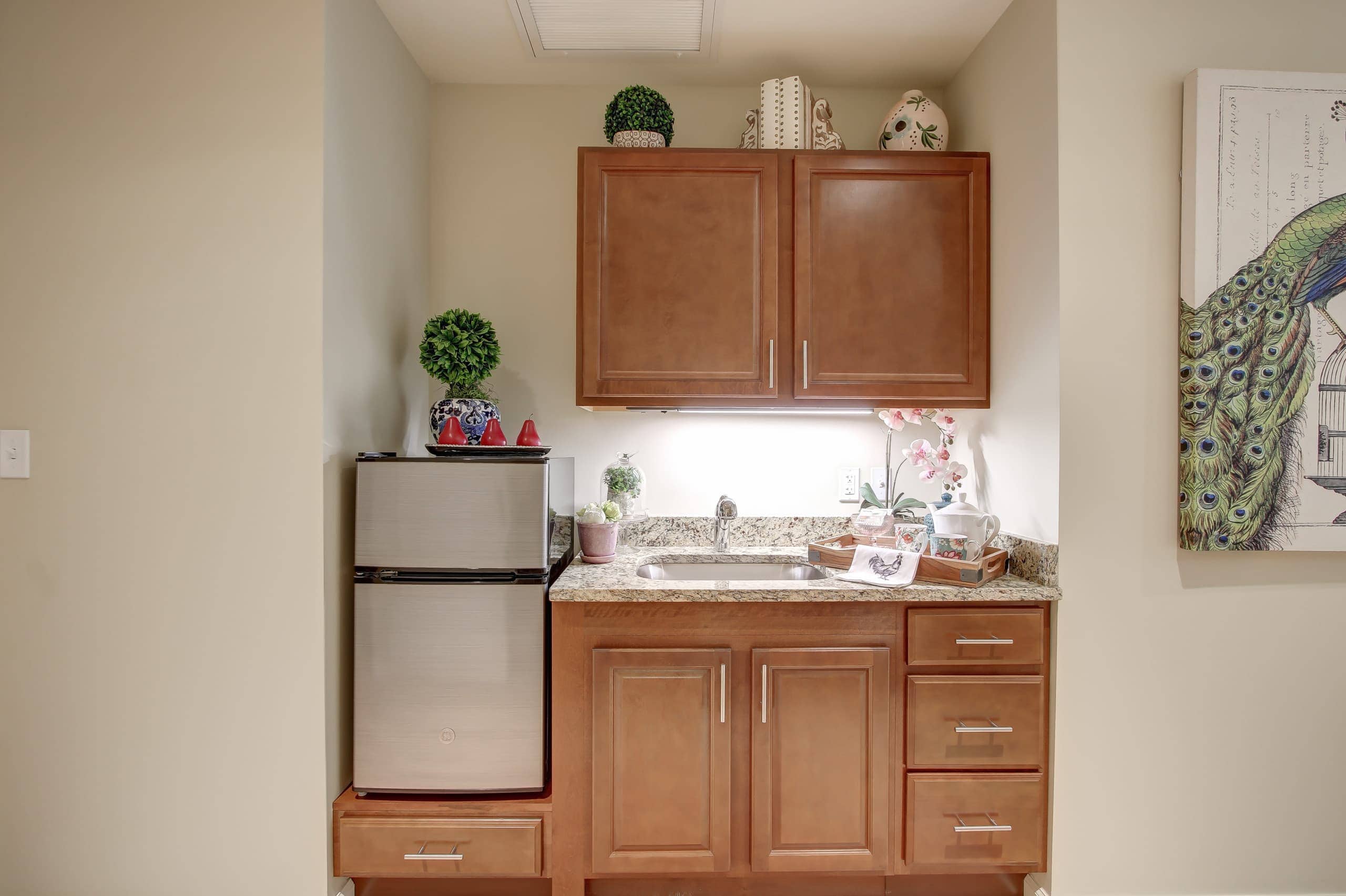 model suite sink and mini fridge space