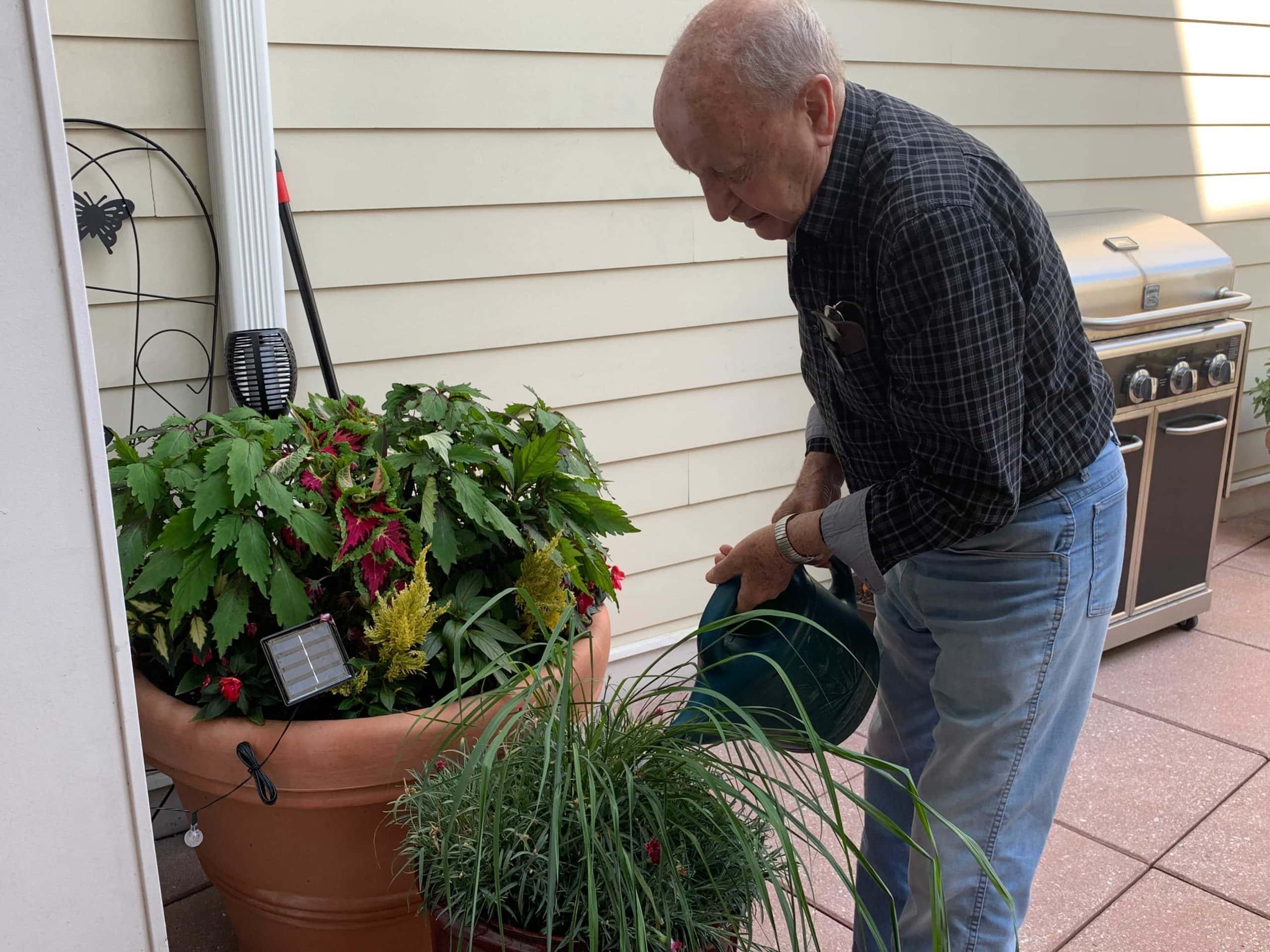 resident watering plant