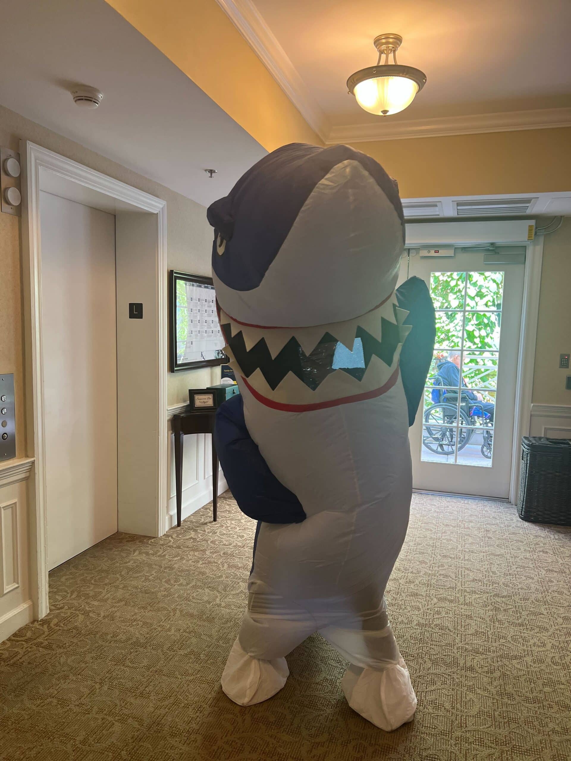 staff dressed in shark suit